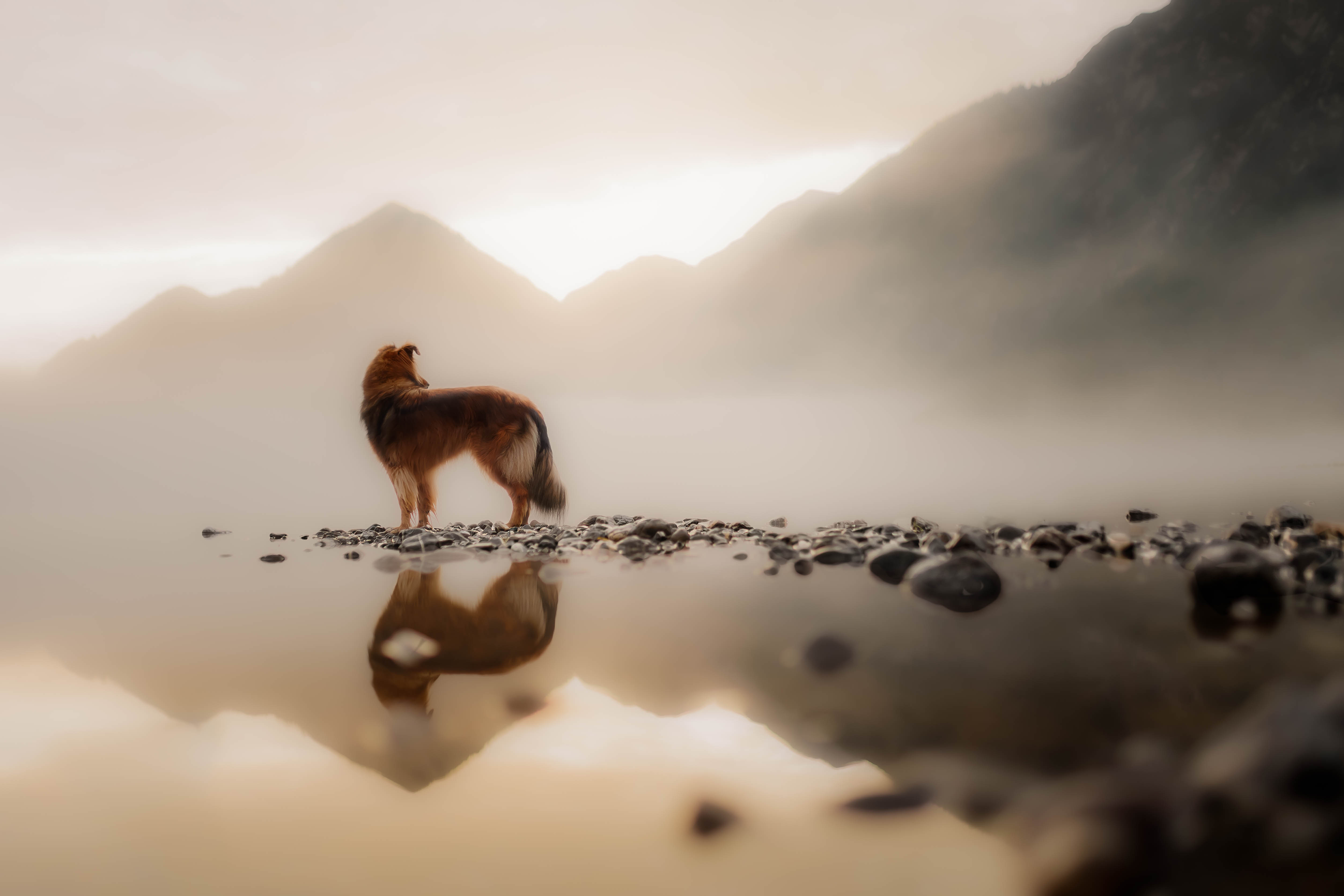 _K6A0114-Bearbeitet