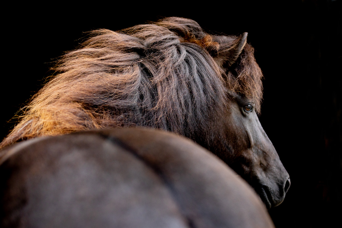 _K6A0731-Bearbeitet