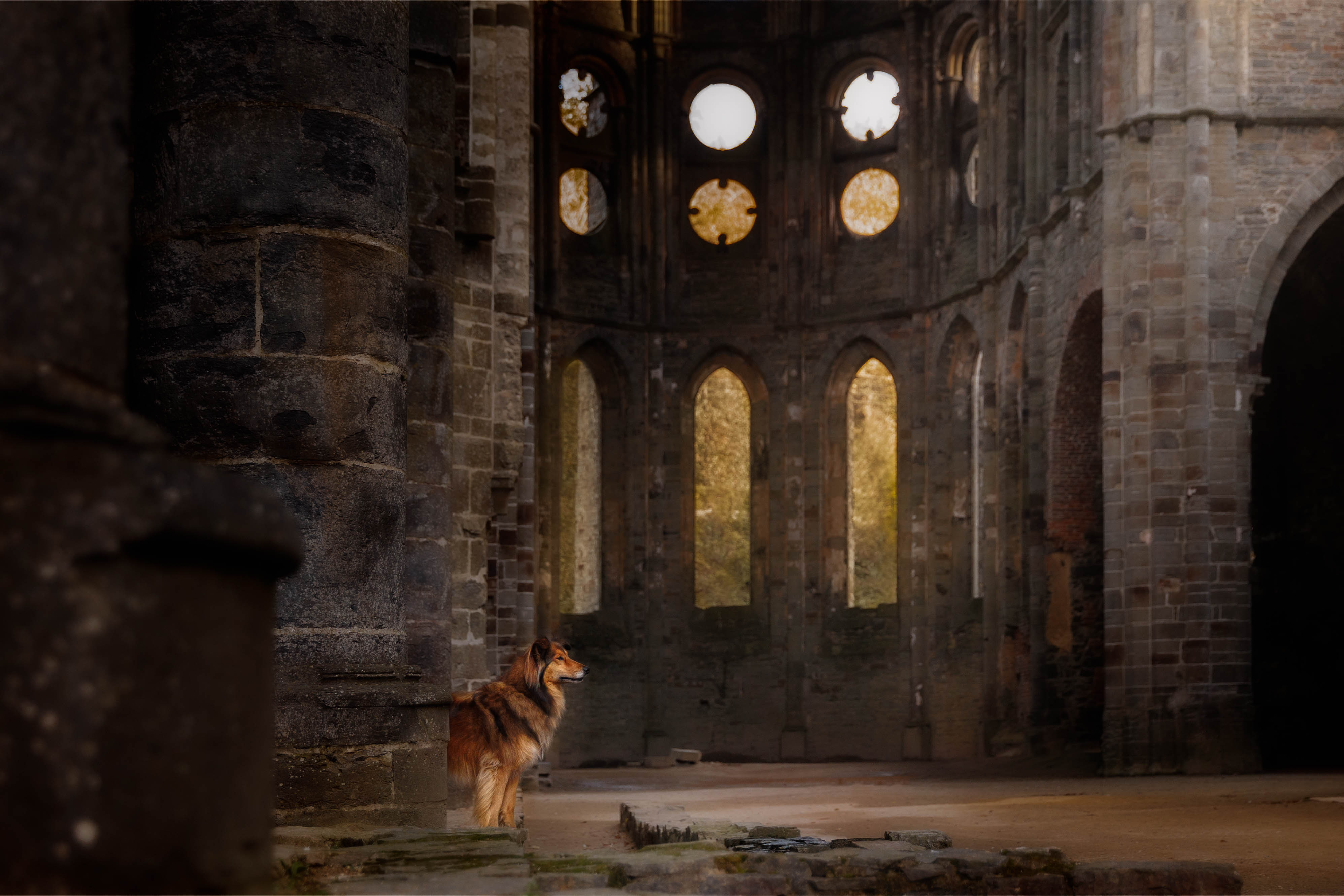 _K6A1372-Bearbeitet