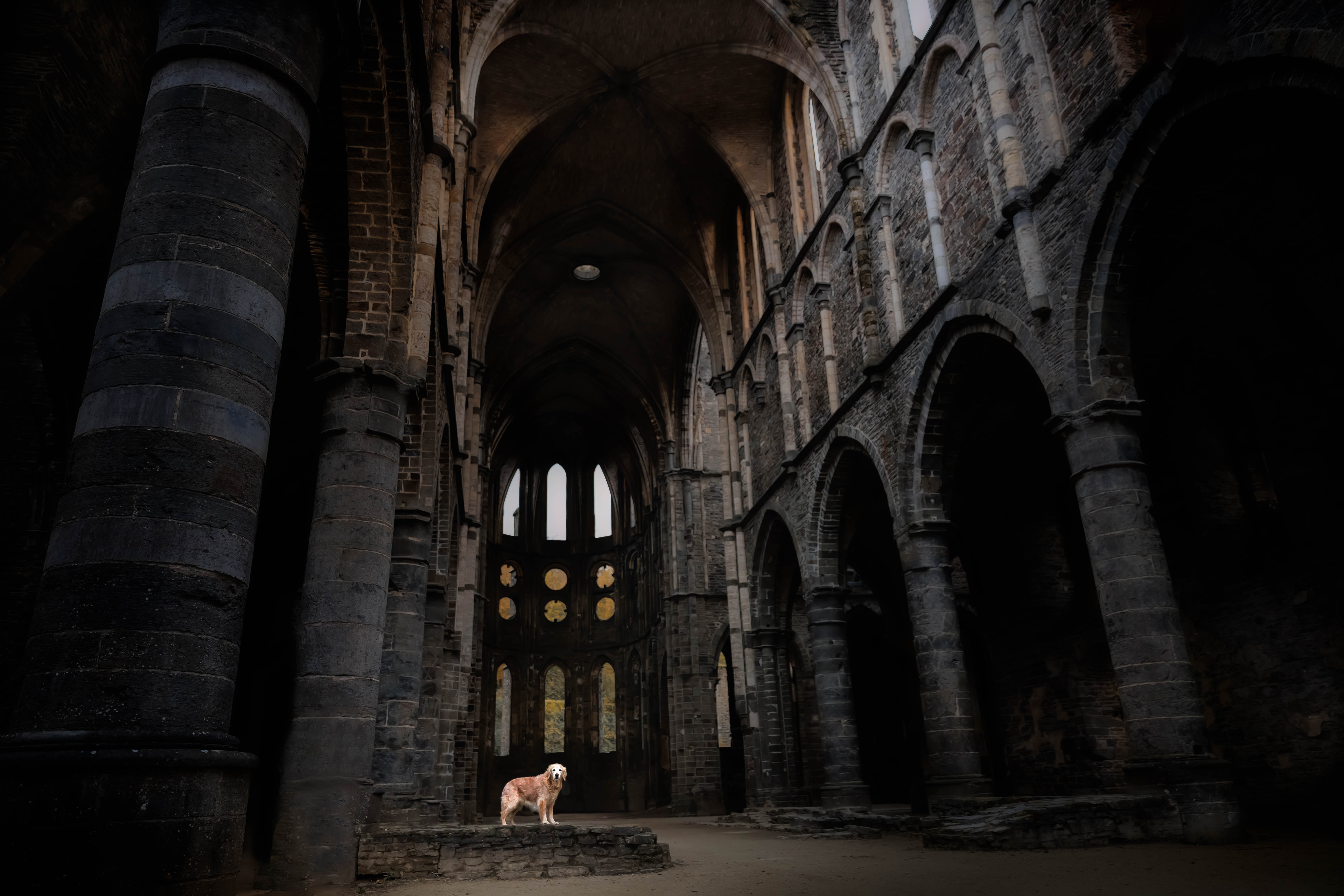 _K6A1435-Bearbeitet