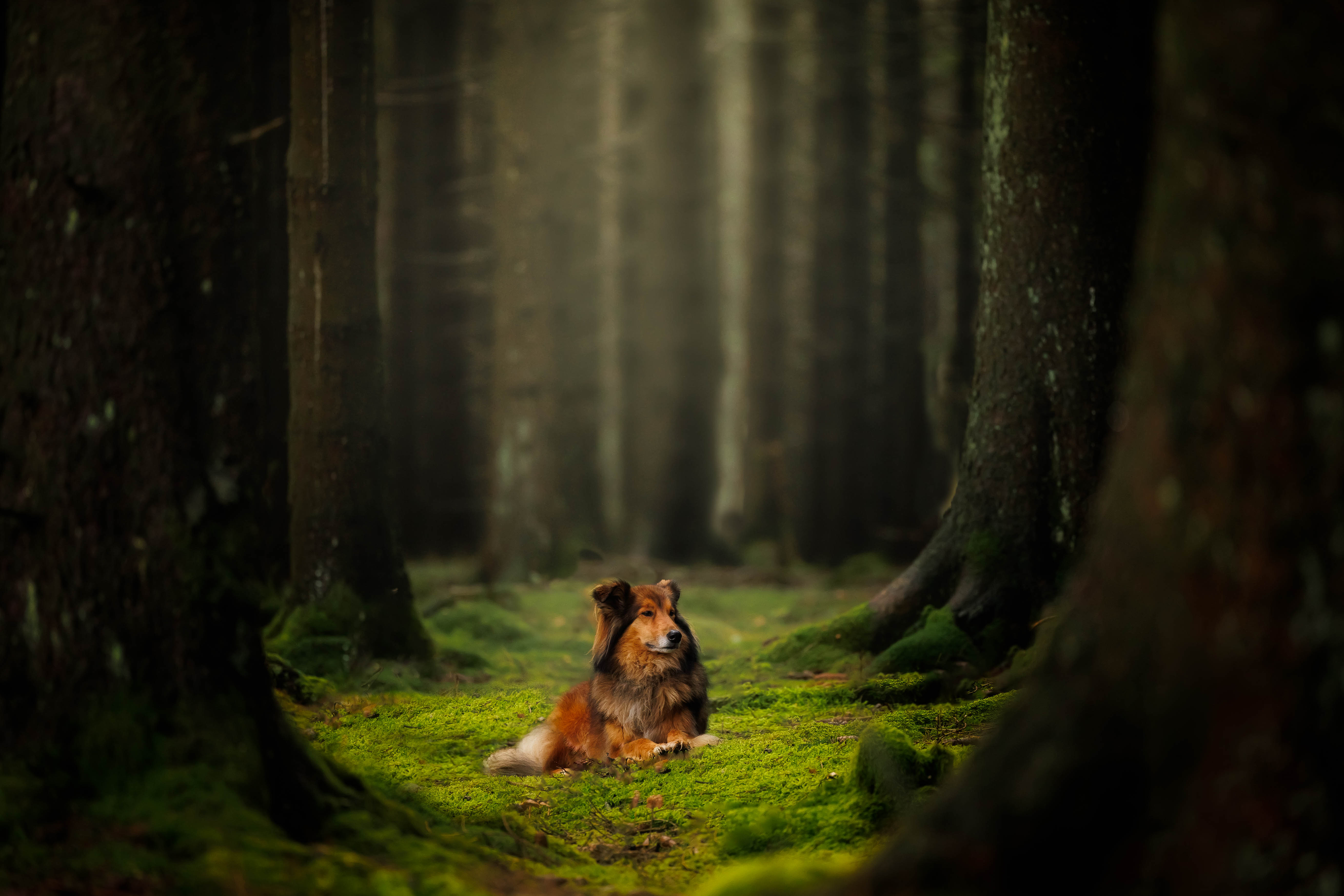 _K6A1508-Bearbeitet