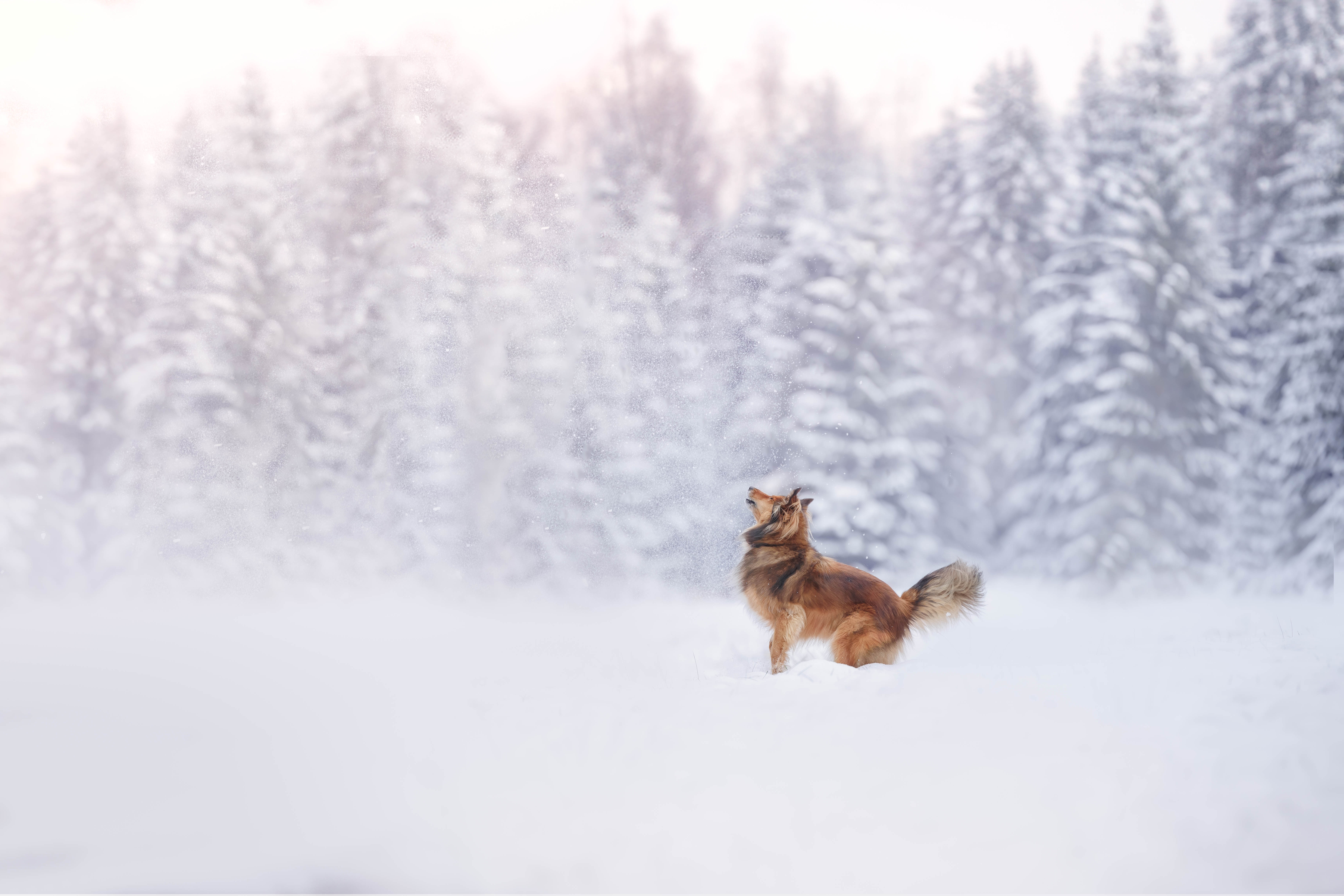 _K6A1588-Bearbeitet-Bearbeitet