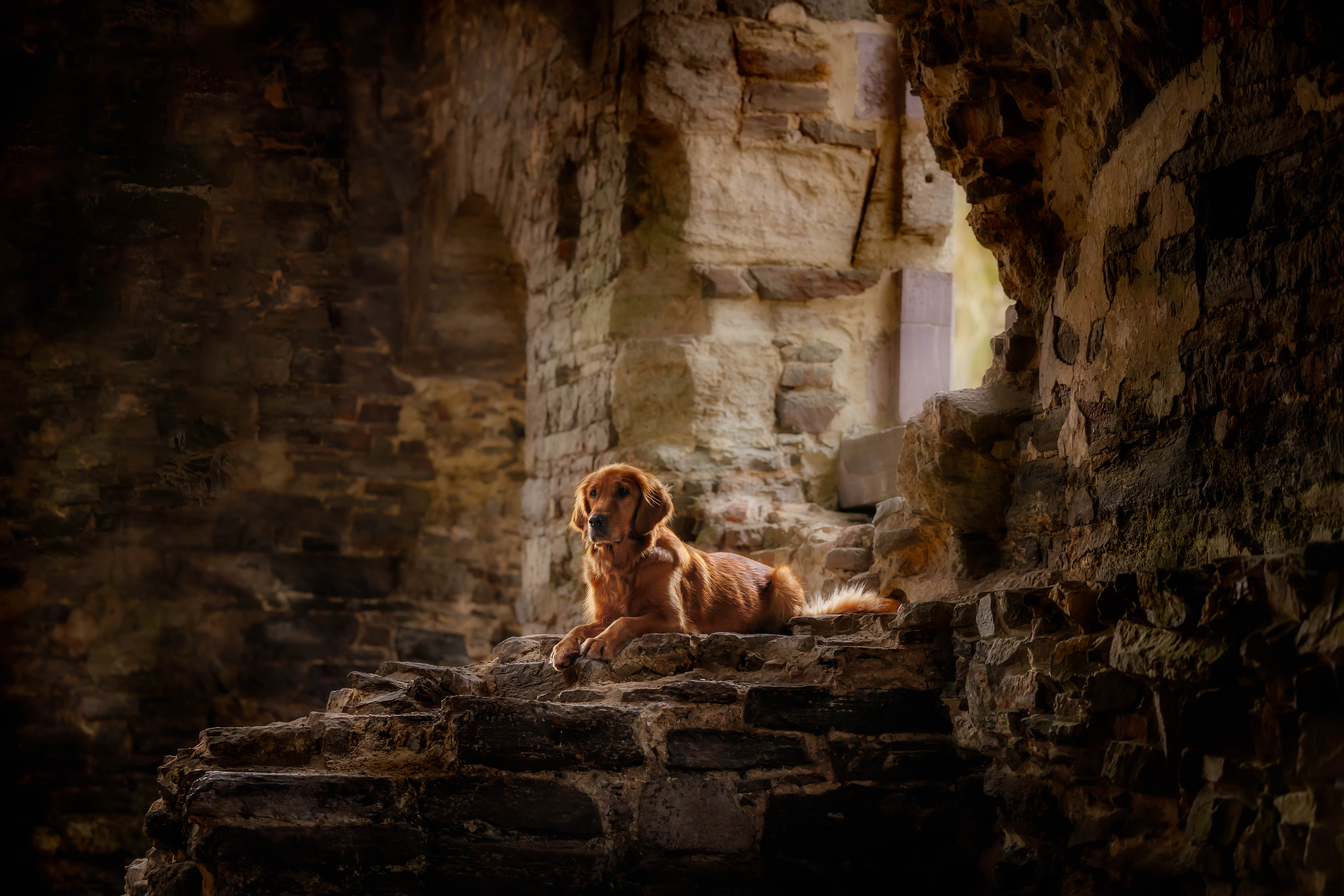 _K6A1728-Bearbeitet