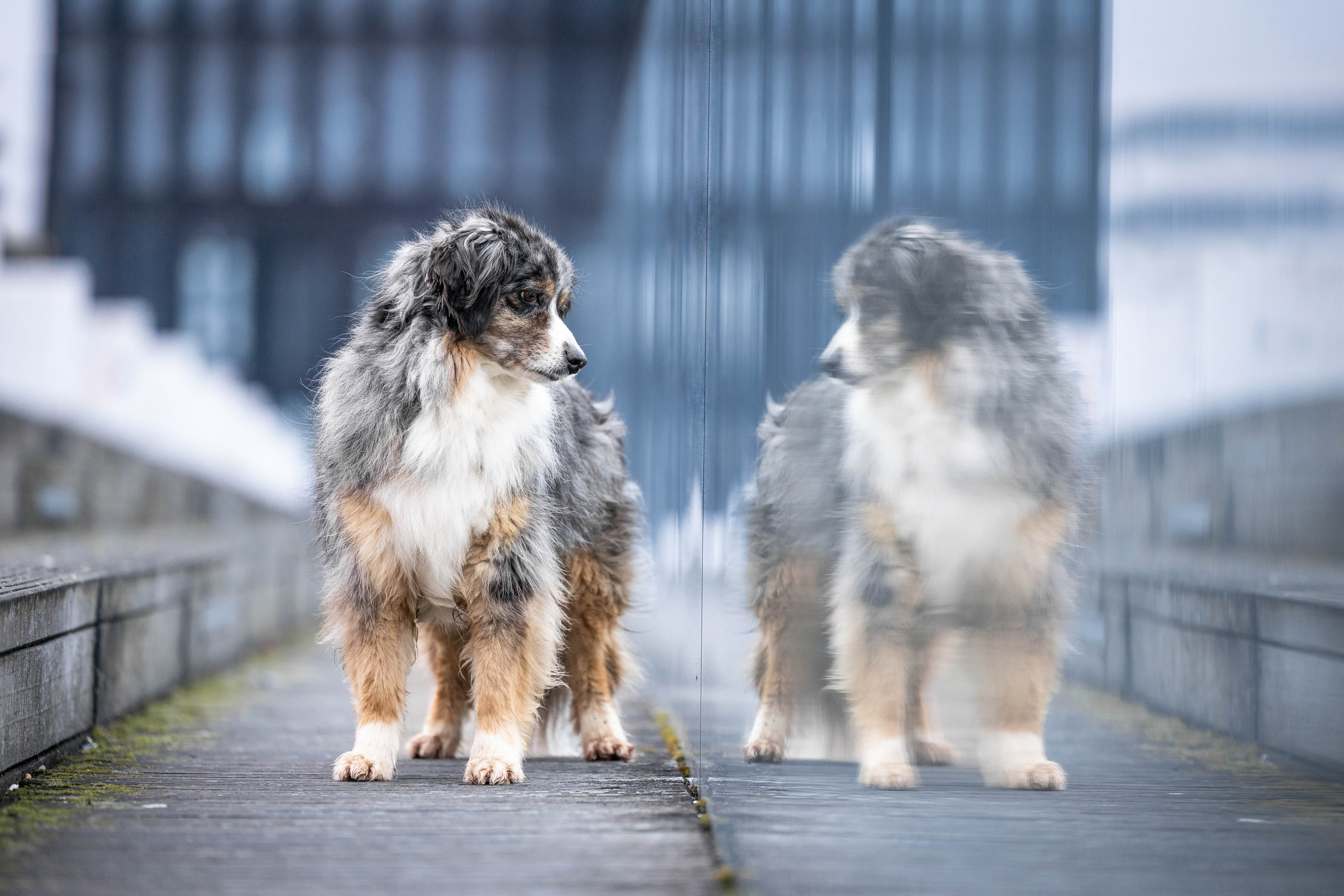 _K6A2037-Bearbeitet