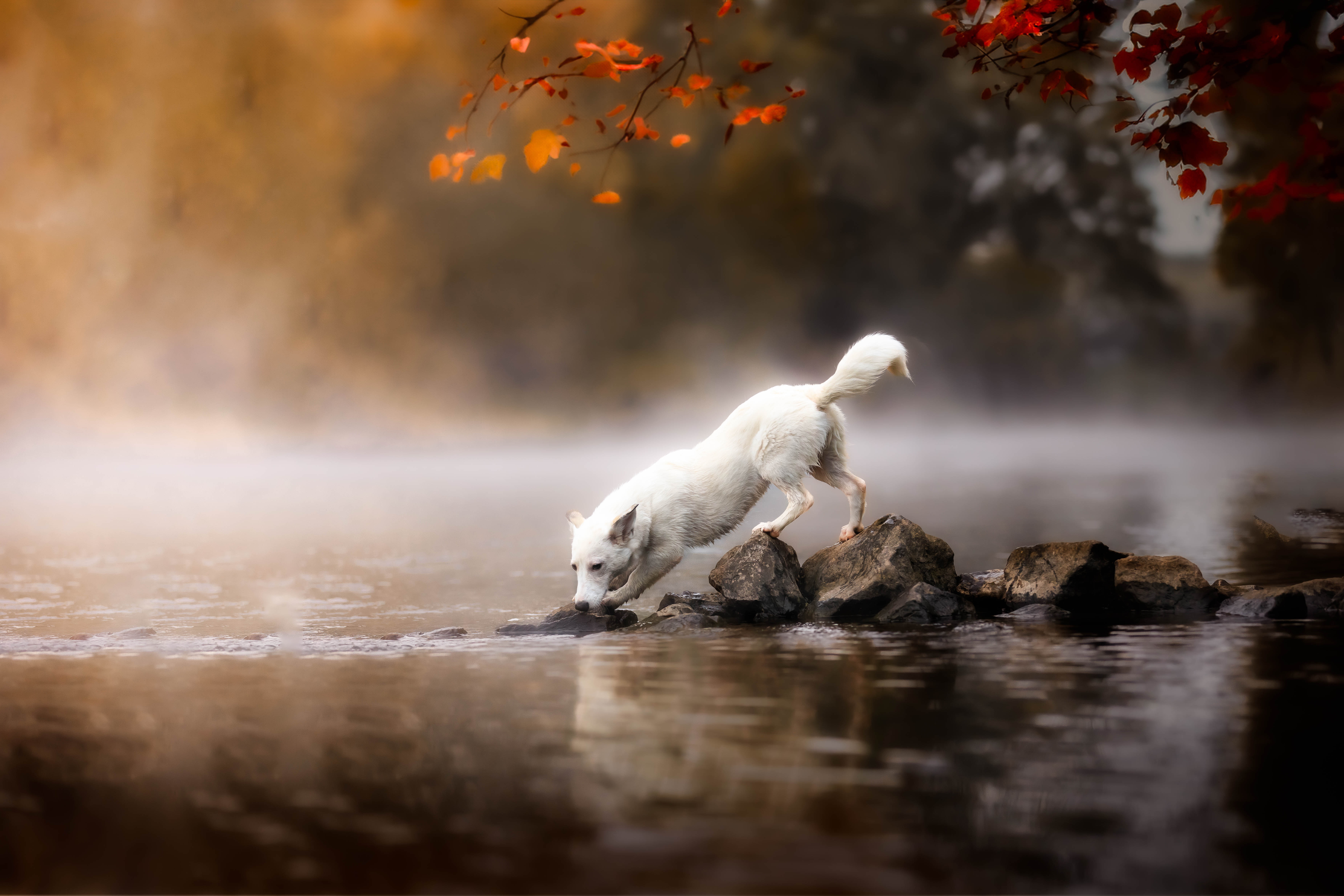 _K6A2172-Bearbeitet