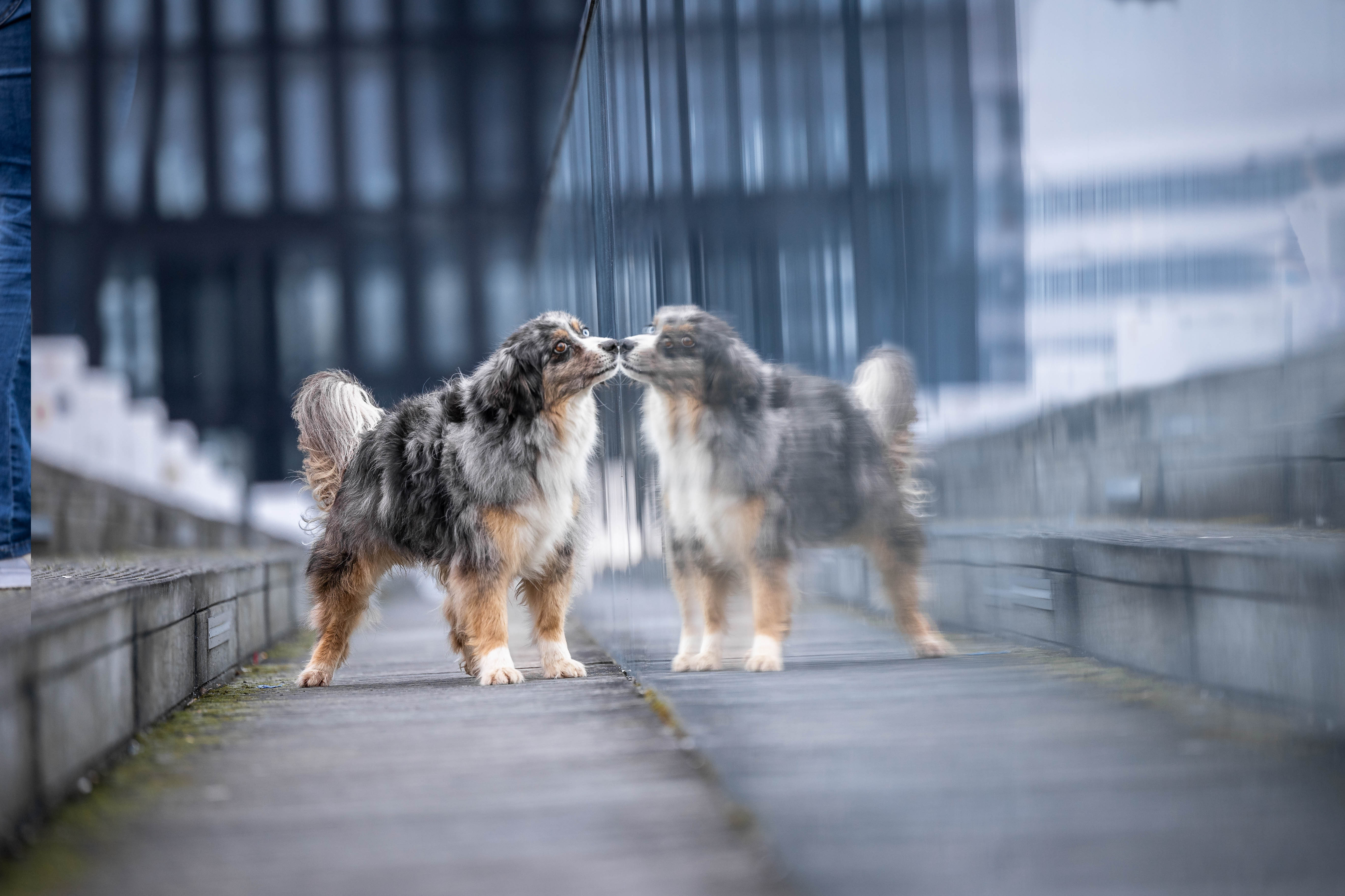 _K6A2267-Bearbeitet