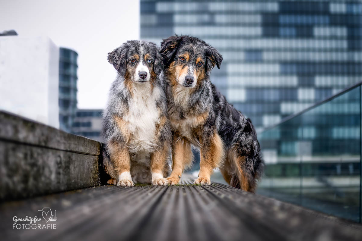 _K6A2494-Bearbeitet-Bearbeitet