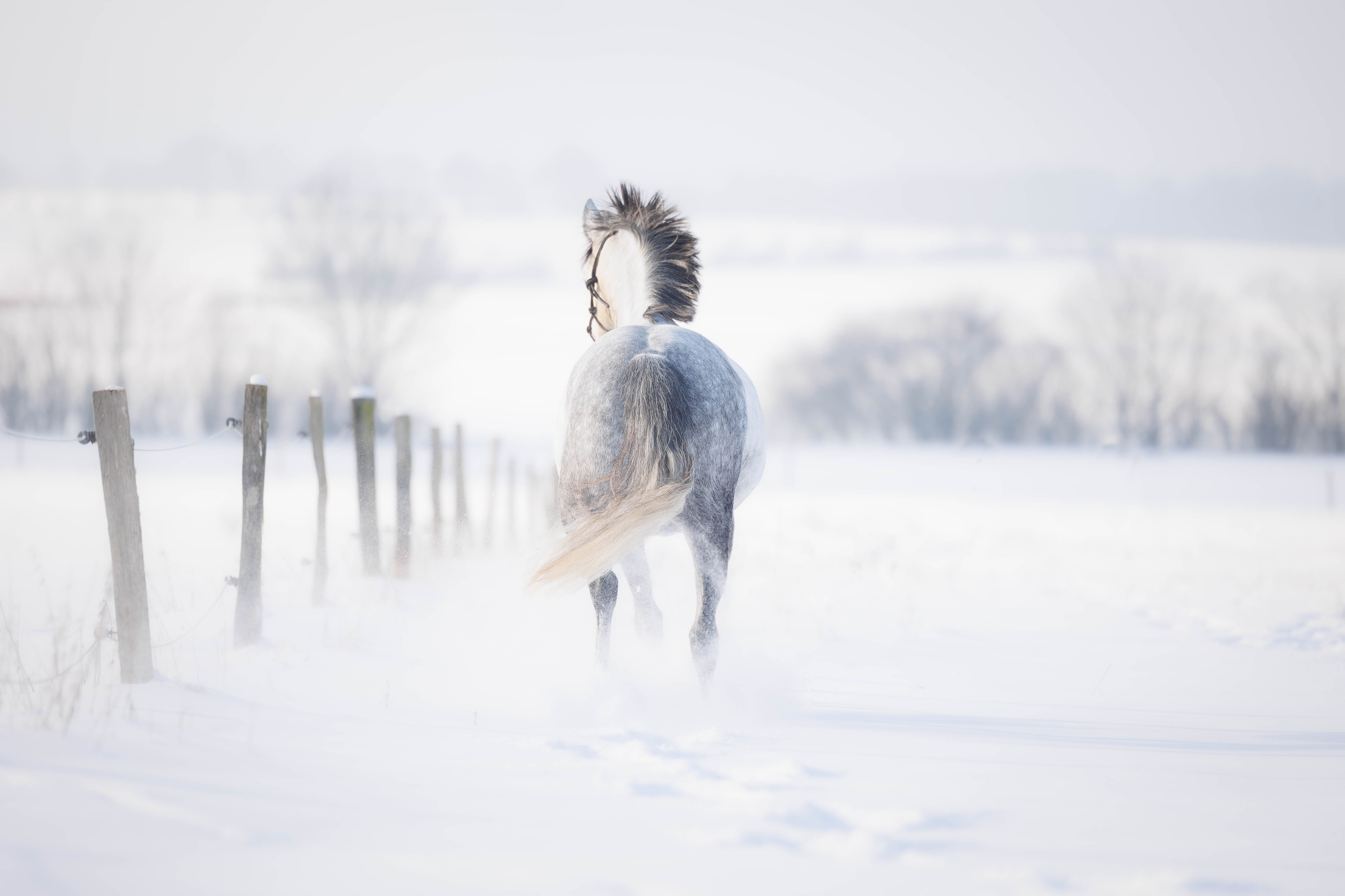 _K6A3025-Bearbeitet