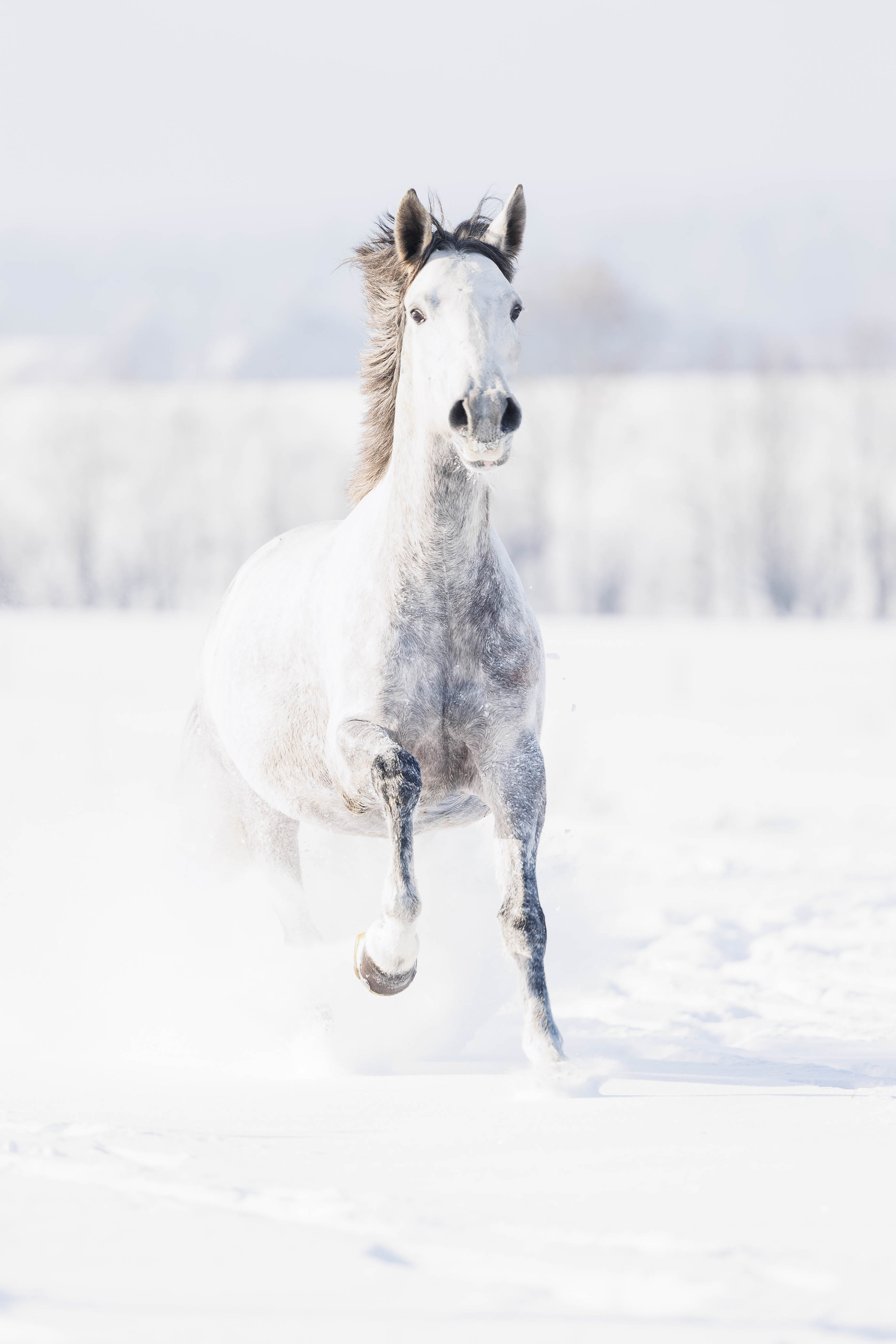 _K6A3081-Bearbeitet-Bearbeitet