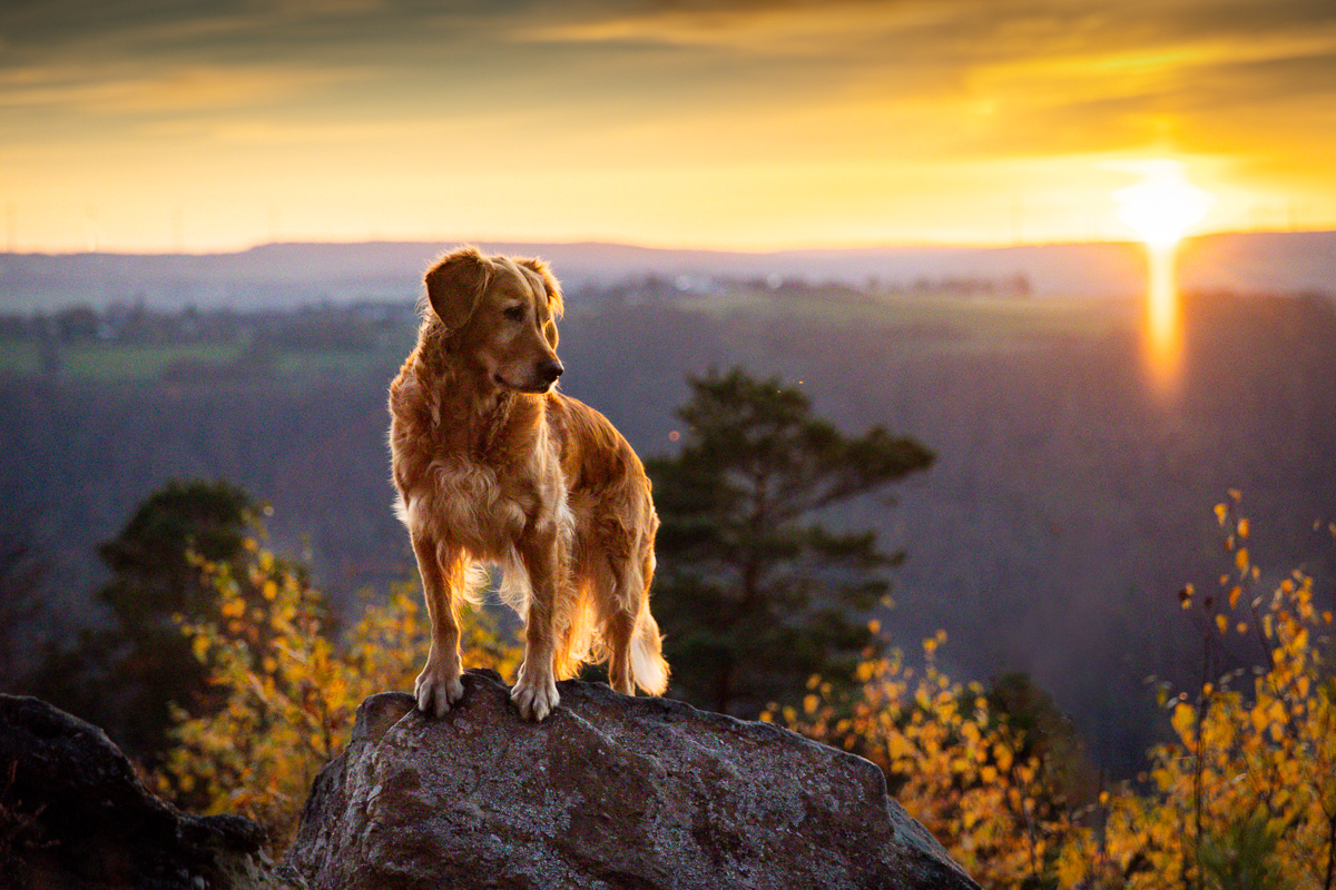 _K6A3153-Bearbeitet