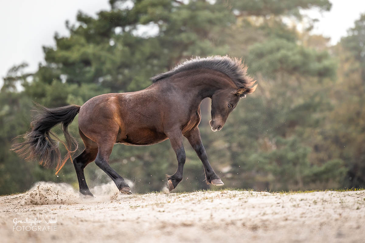 _K6A3279-Bearbeitet-Bearbeitet-2