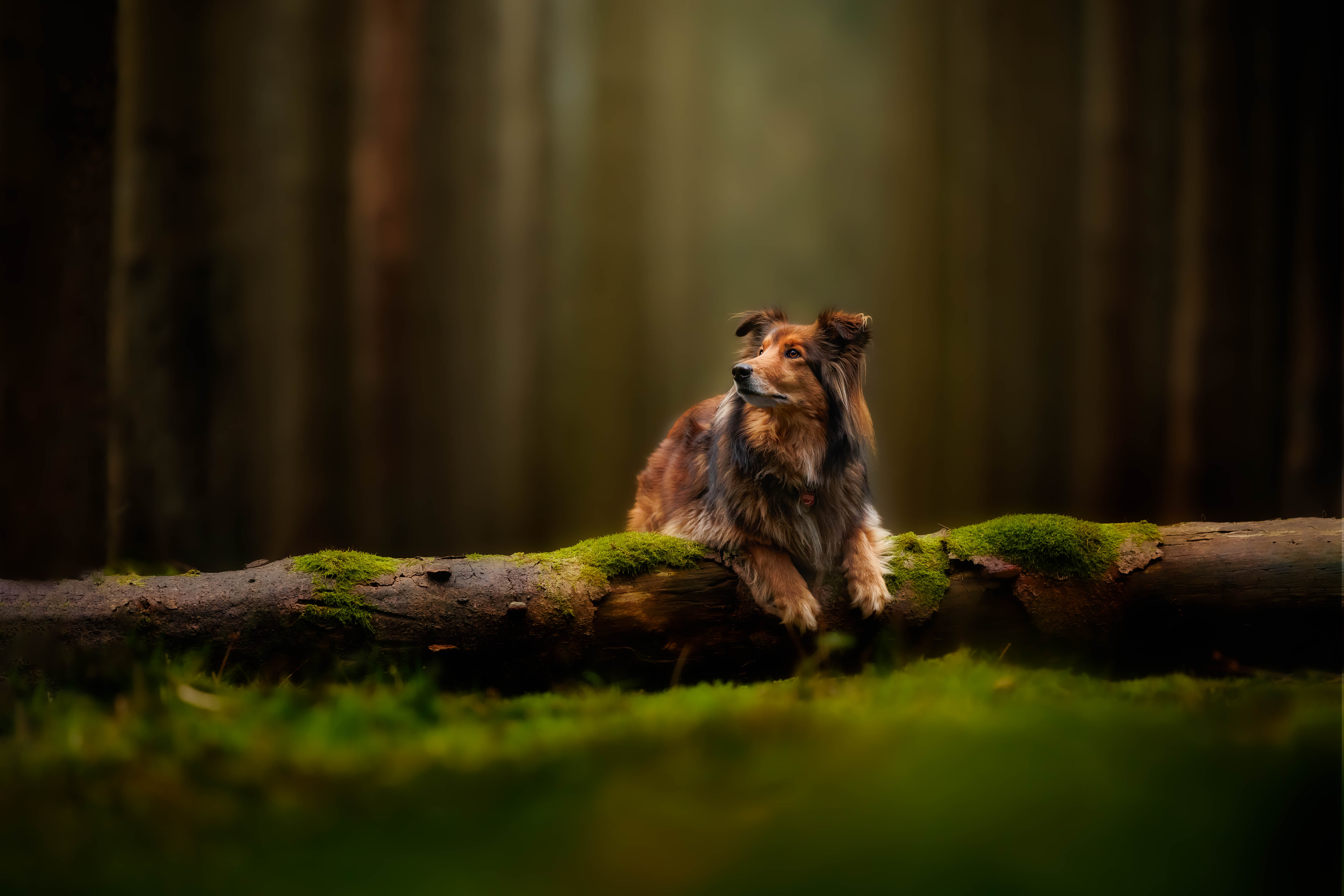 _K6A4495-Bearbeitet