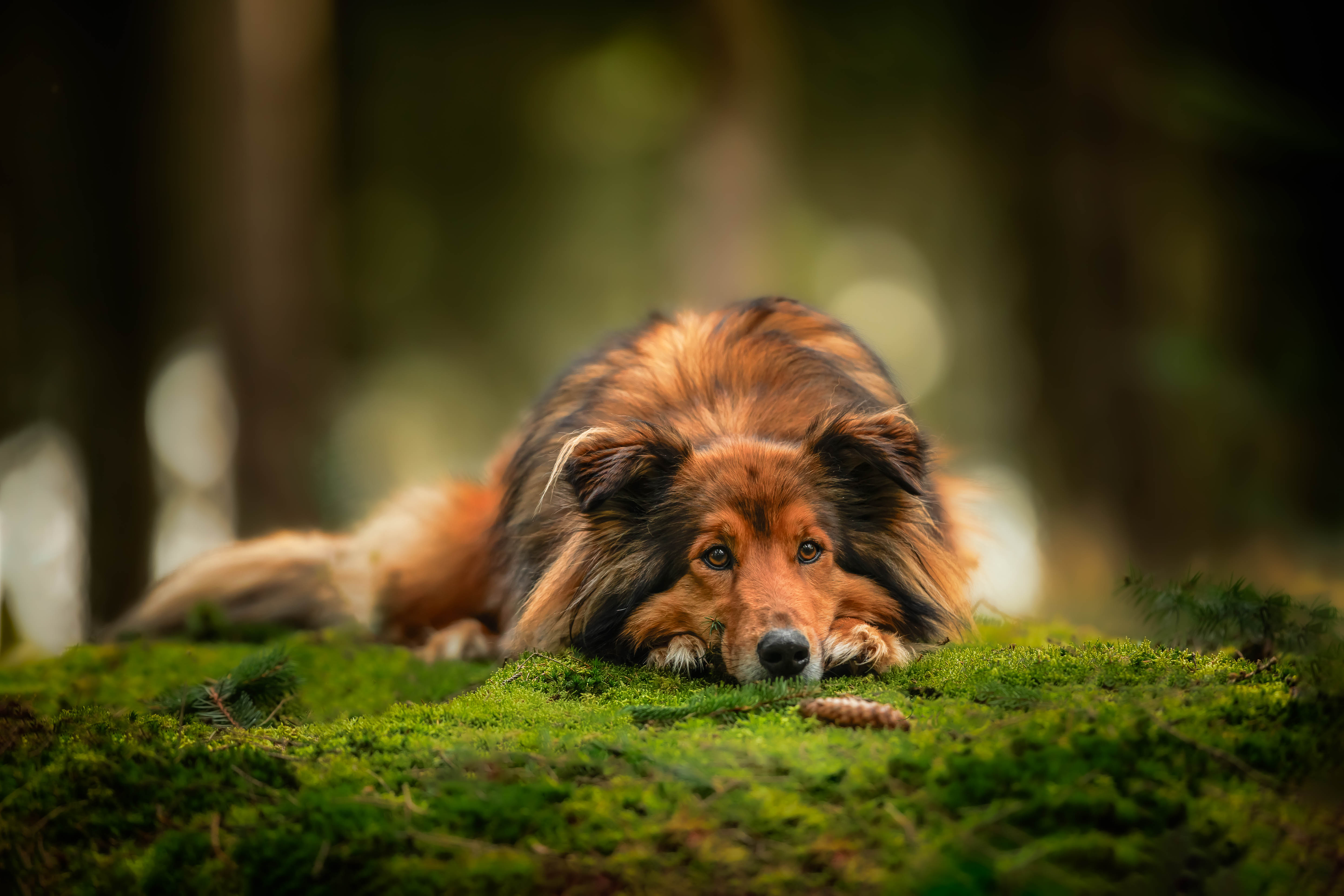 _K6A4639-Bearbeitet