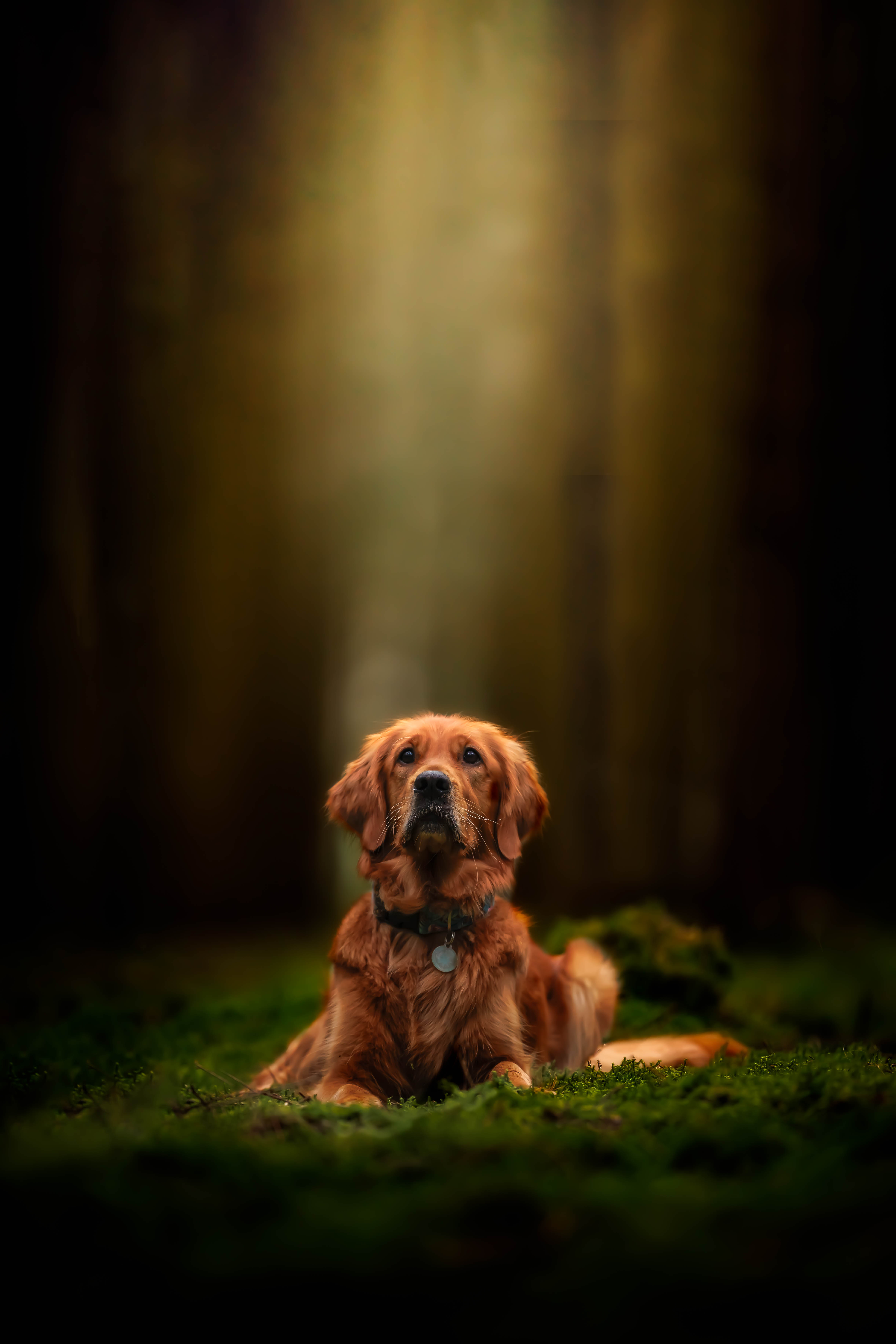 _K6A4854-Bearbeitet