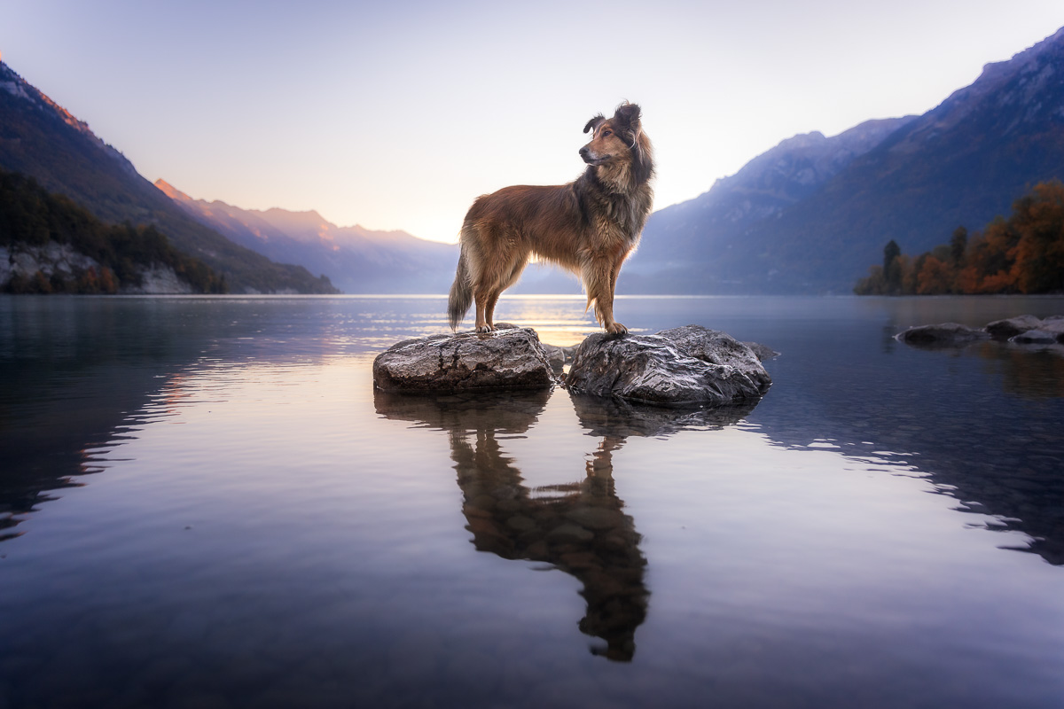 _K6A4908-Bearbeitet-3