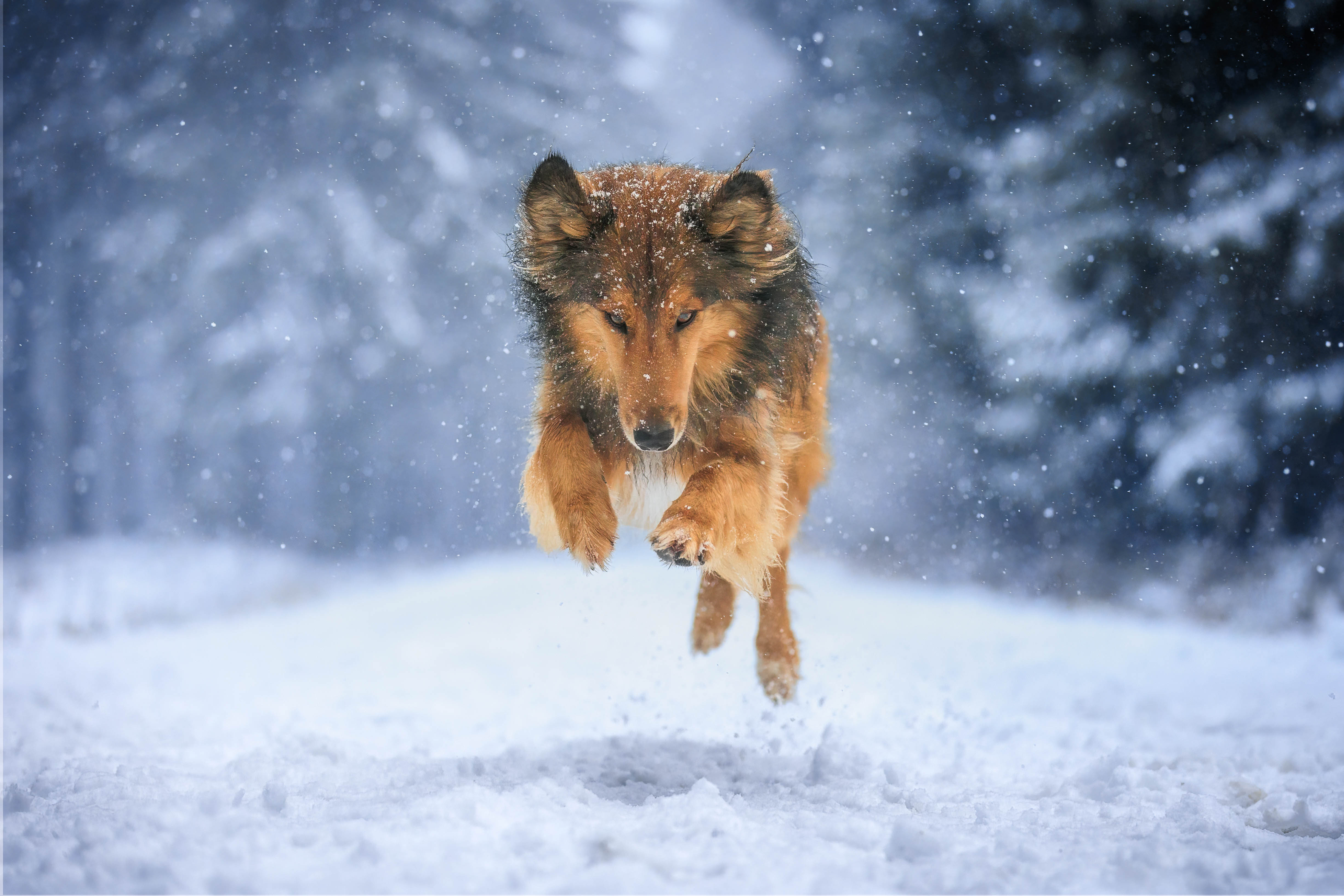_K6A4976-Bearbeitet-Bearbeitet-Bearbeitet