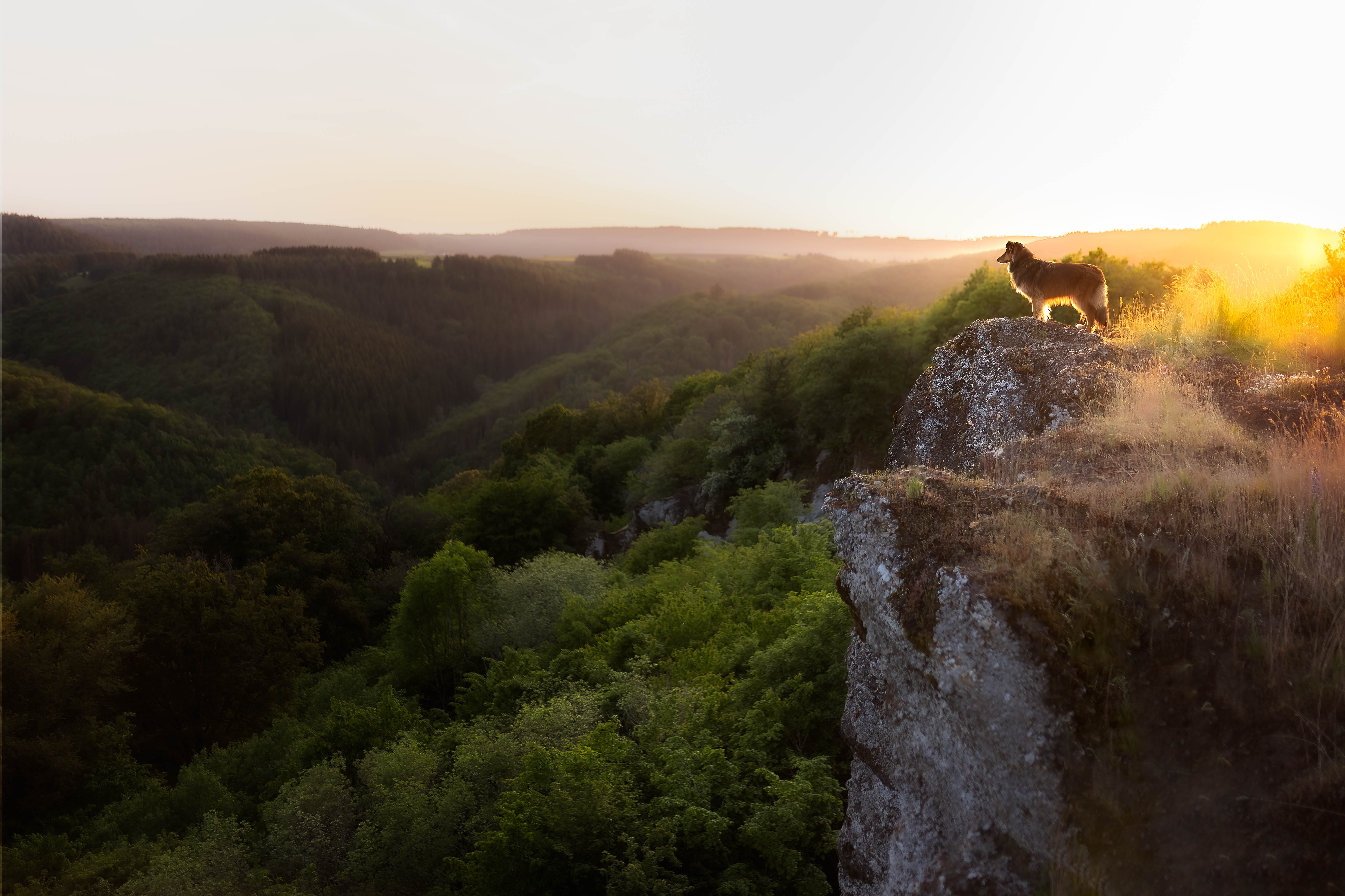 _K6A5766-Bearbeitet