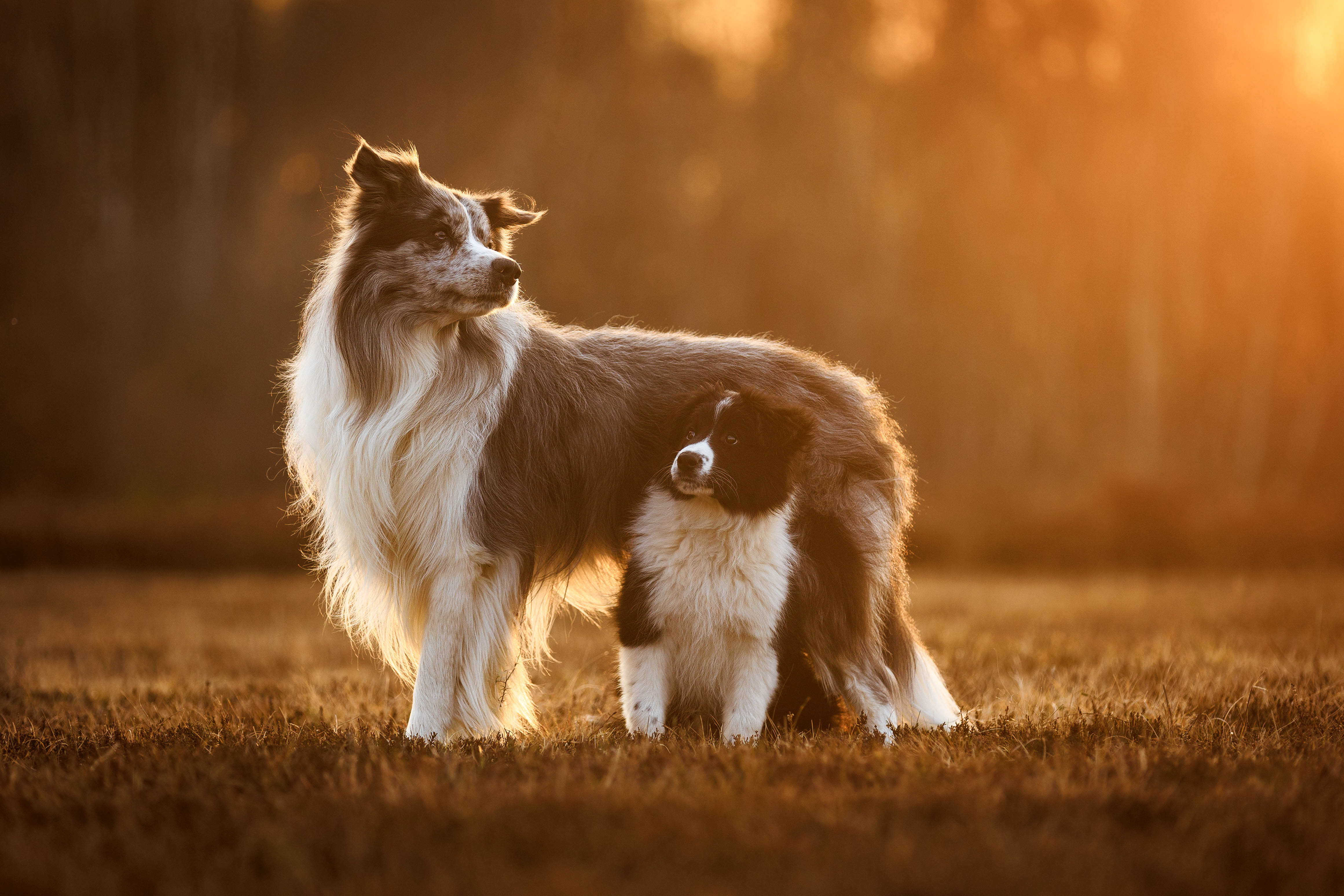 _K6A5993-Bearbeitet-Bearbeitet