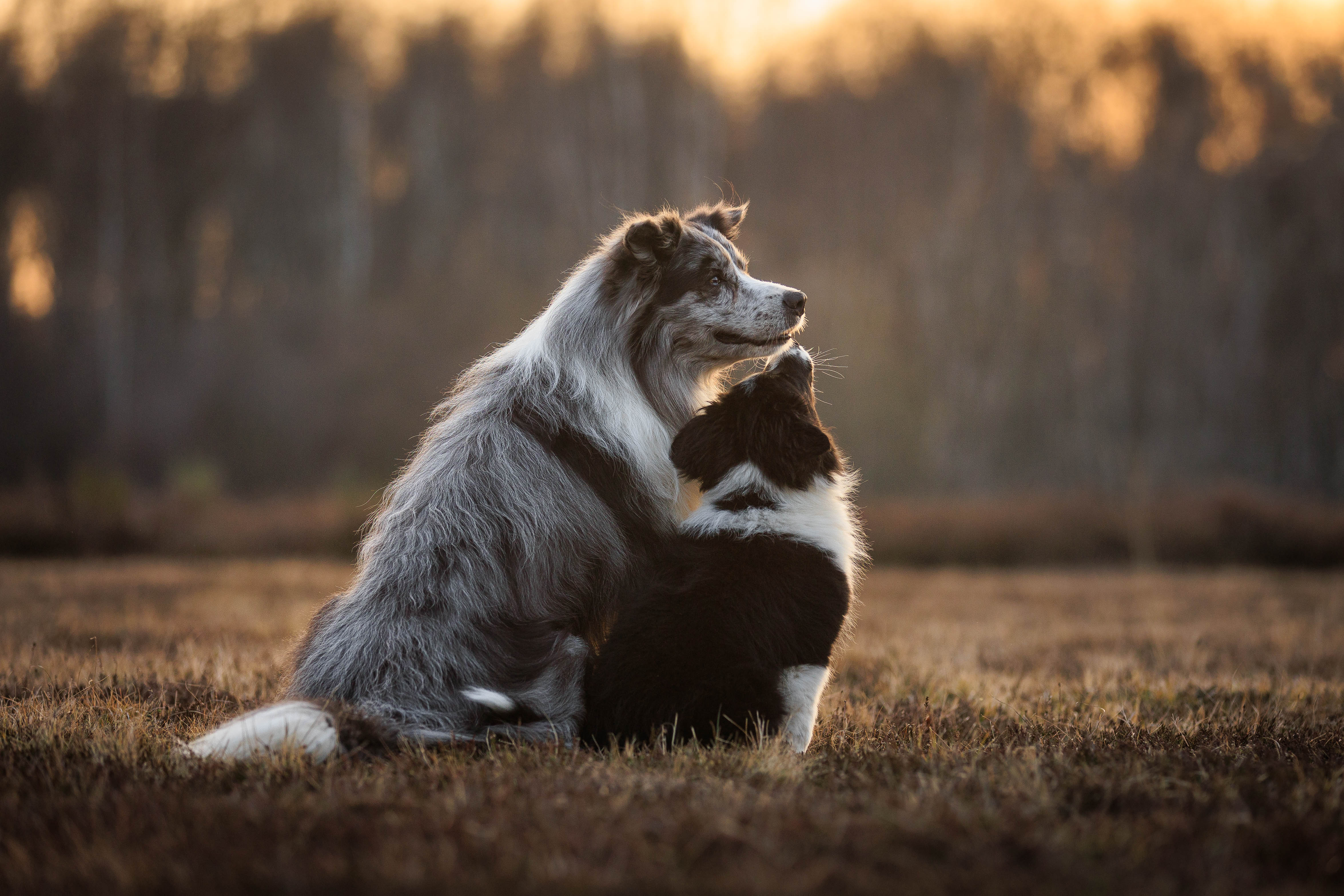 _K6A6032-Bearbeitet