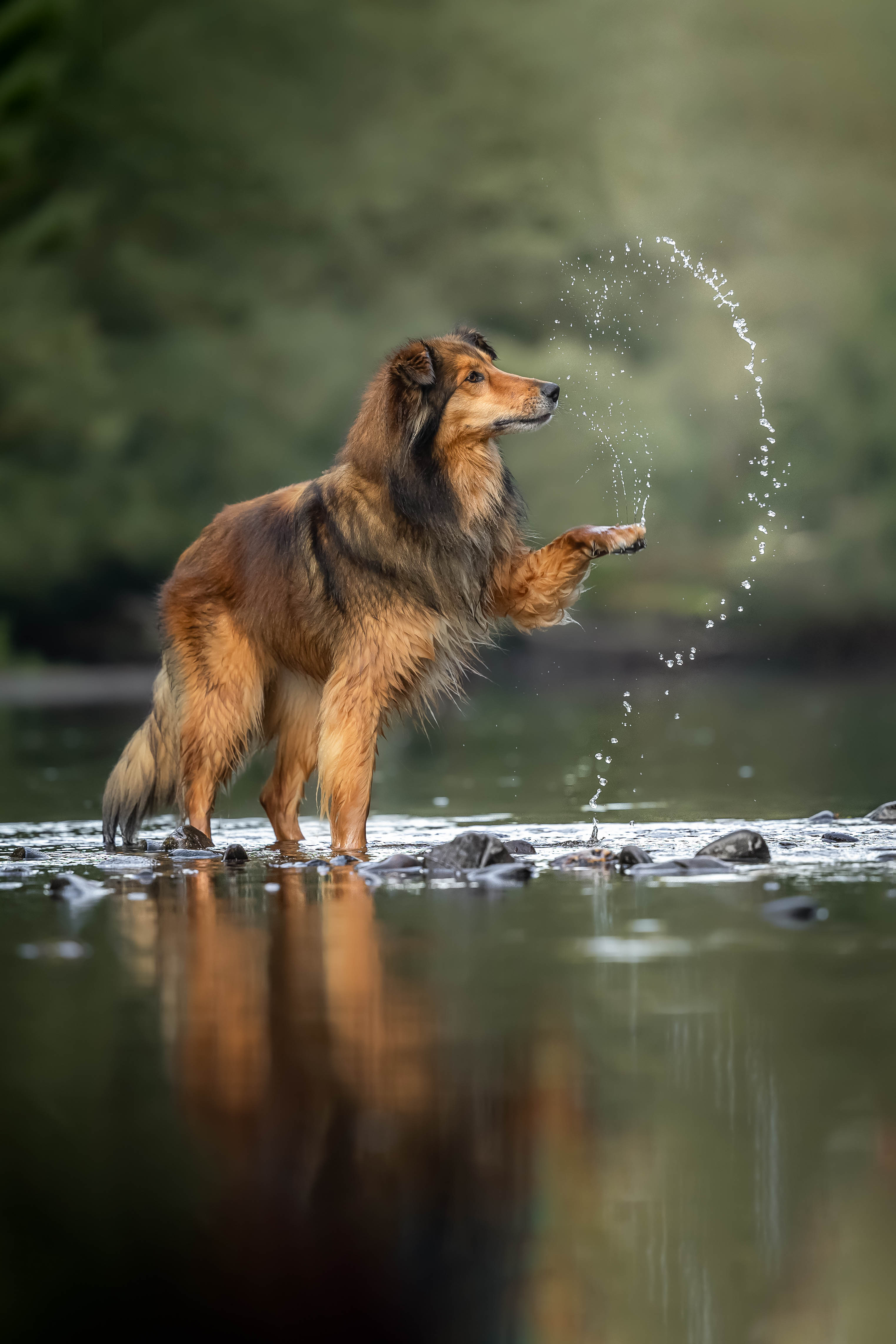 _K6A6433-Bearbeitet-Bearbeitet-Bearbeitet
