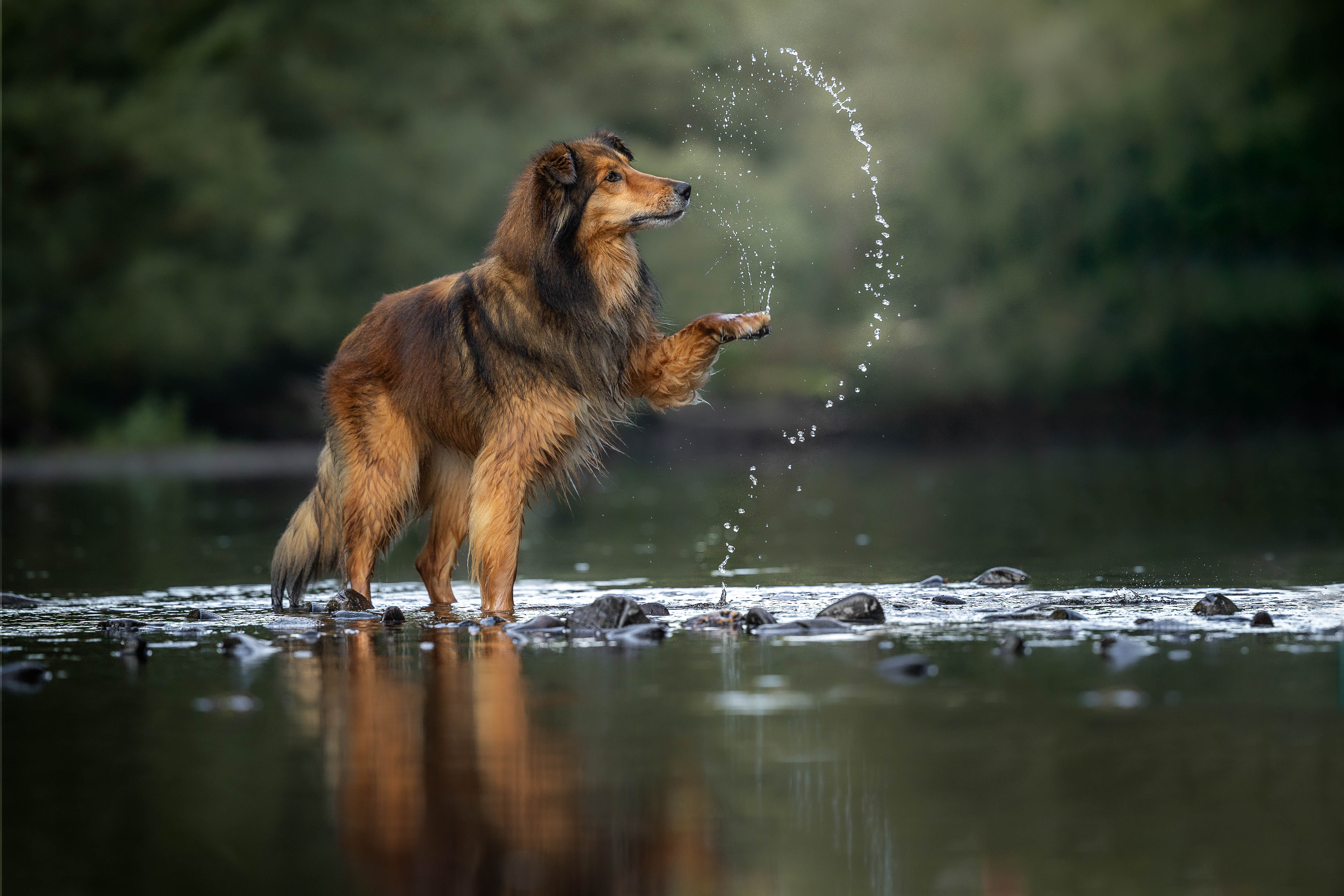 _K6A6433-Bearbeitet-Bearbeitet