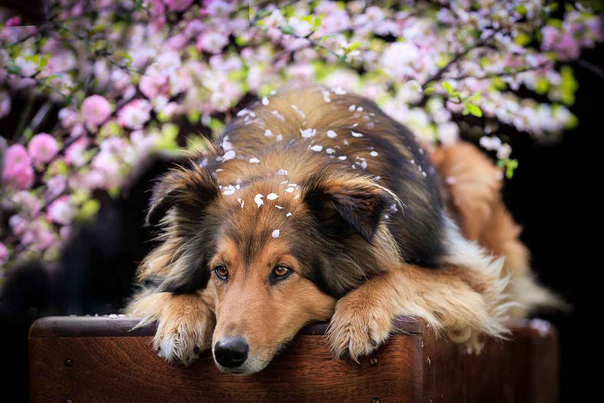_K6A6597-Bearbeitet