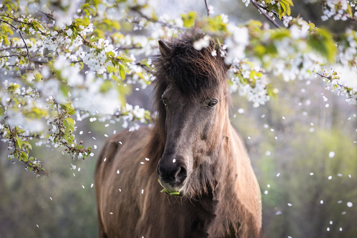 _K6A7082-Bearbeitet