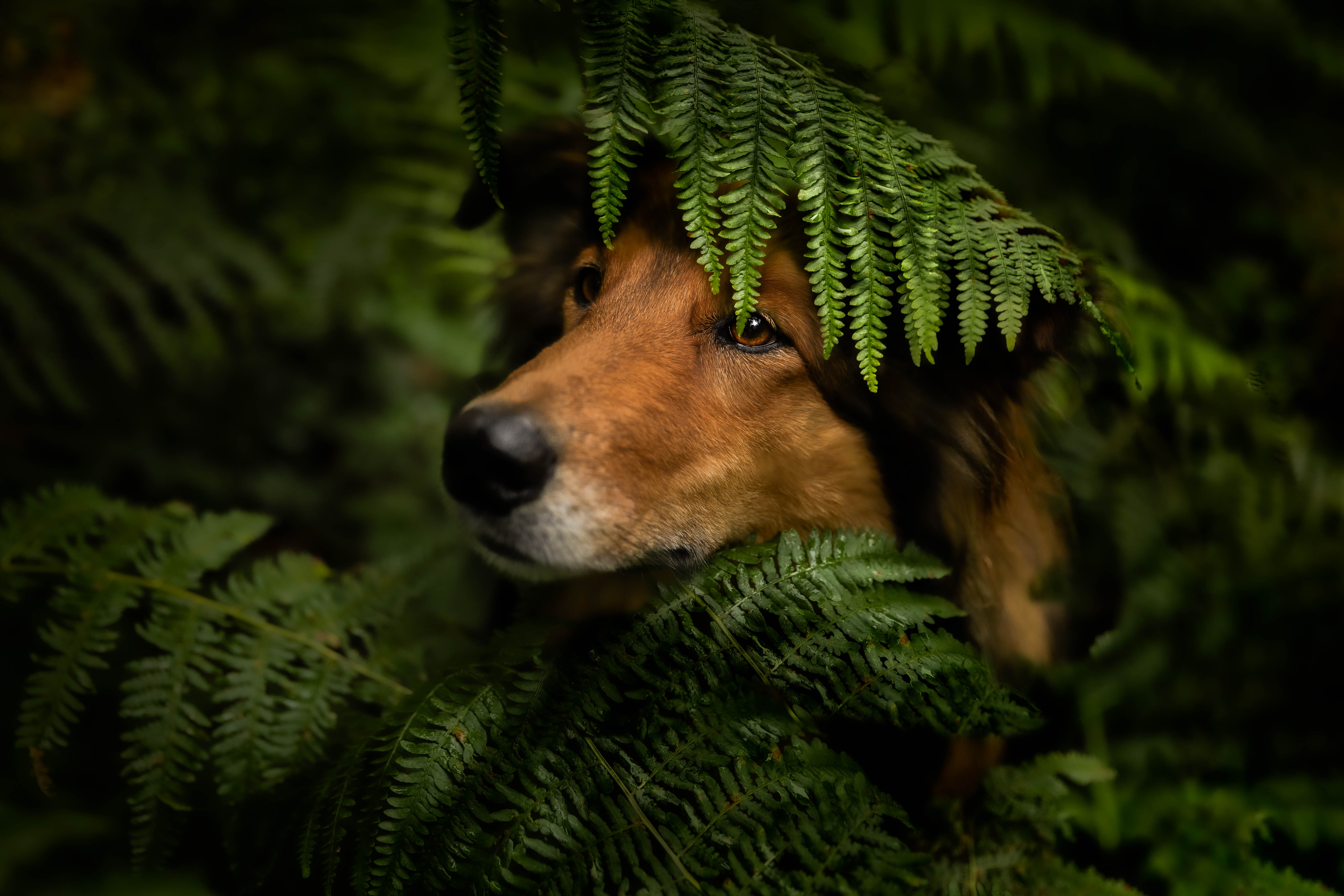 _K6A8266-Bearbeitet