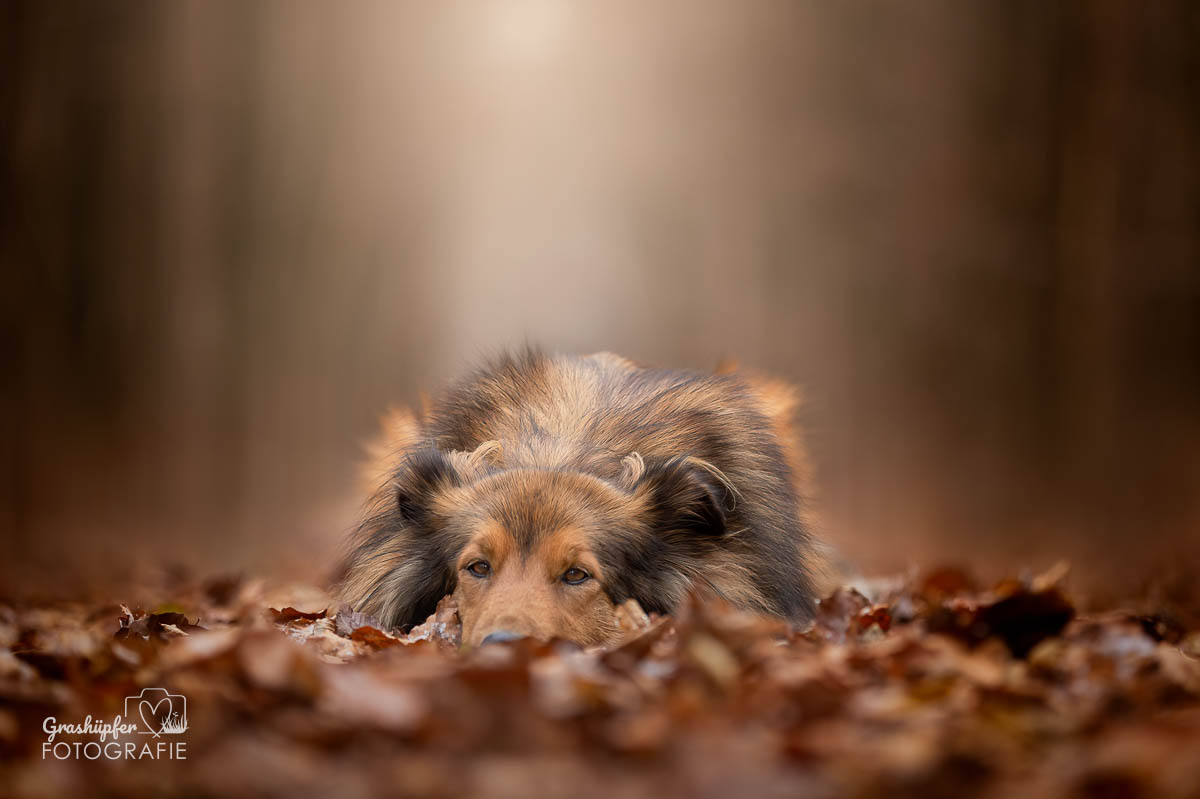 _K6A8413-Bearbeitet