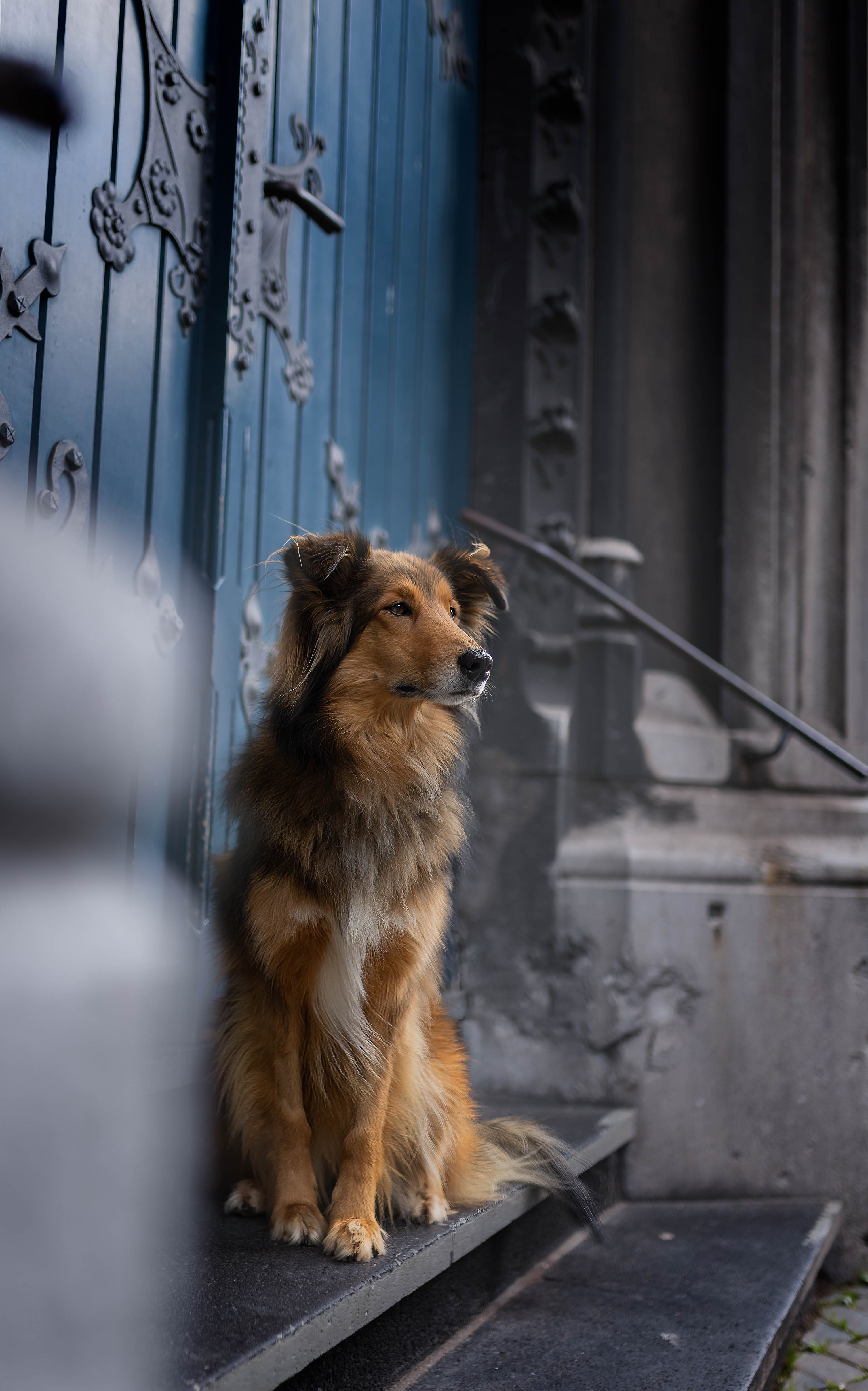 _K6A8995-Bearbeitet
