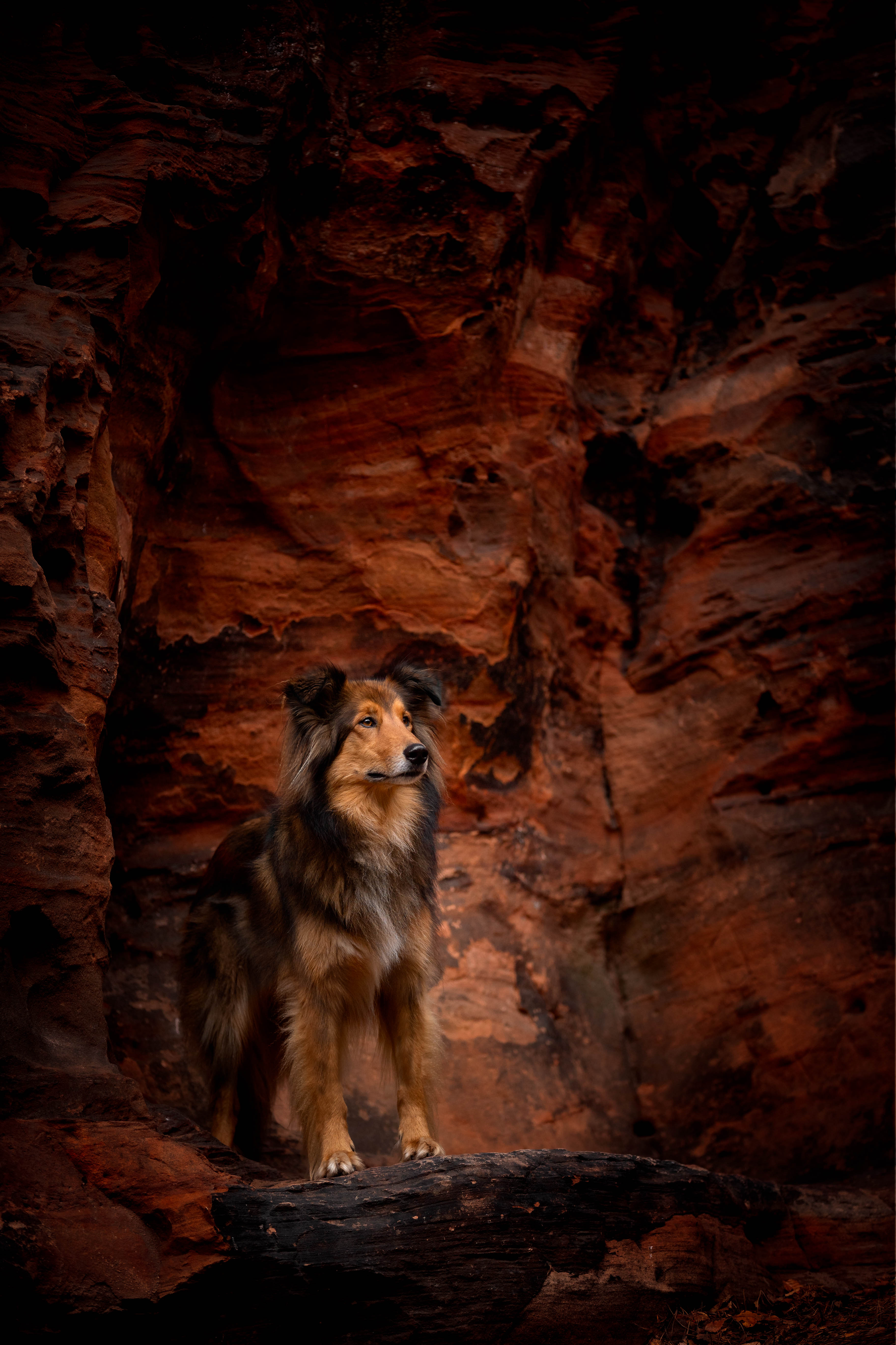 _K6A9164-Bearbeitet-Bearbeitet
