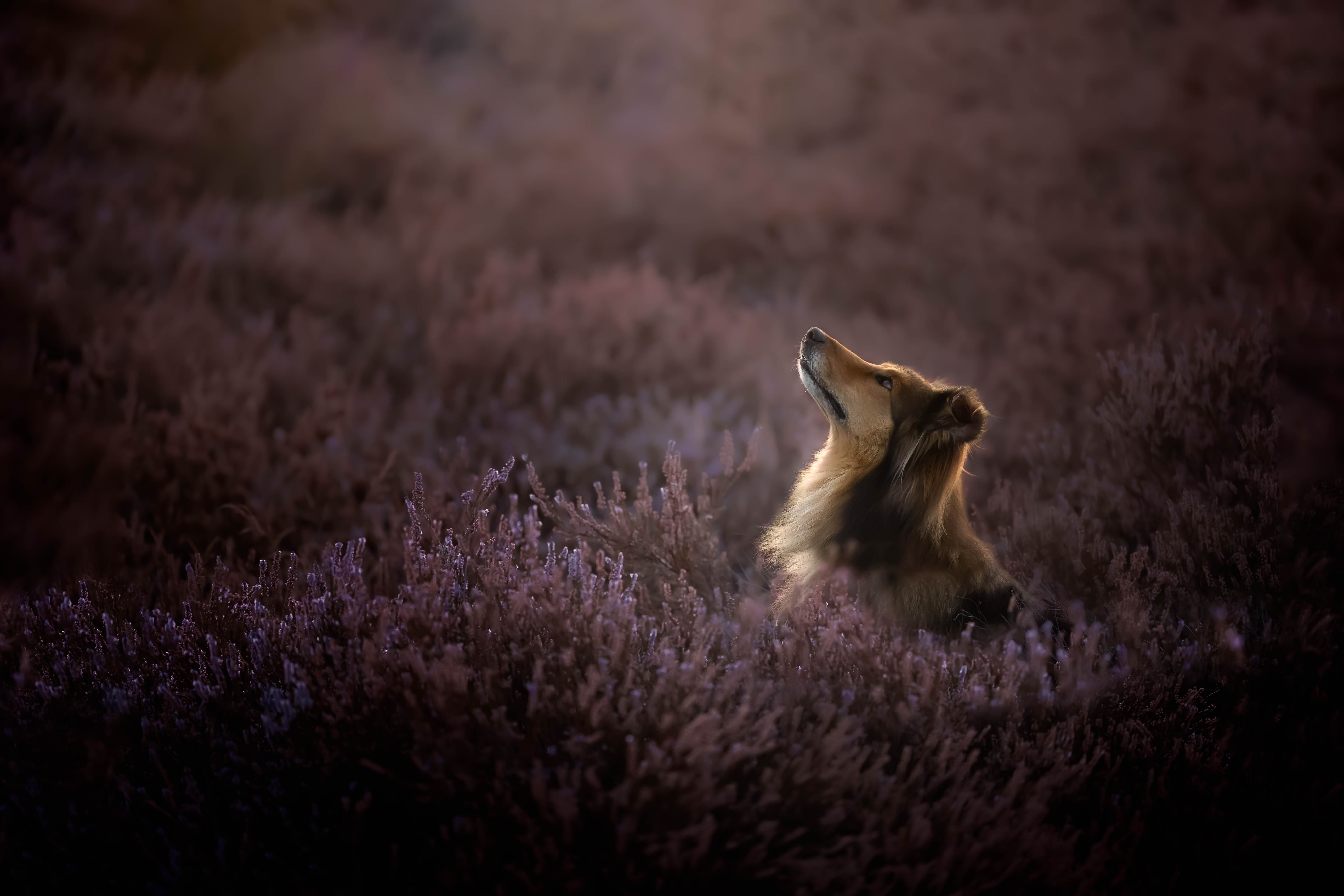 _K6A9936-Bearbeitet-Bearbeitet